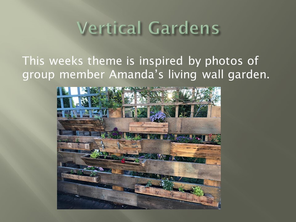 Verical gardens
