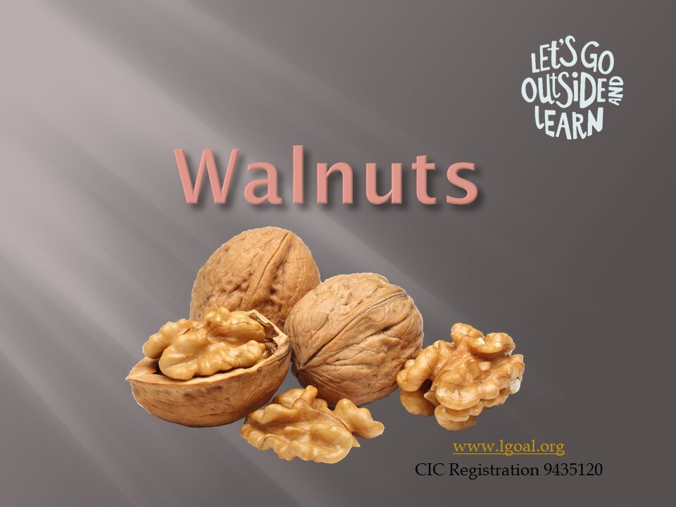 Walnuts front sheet