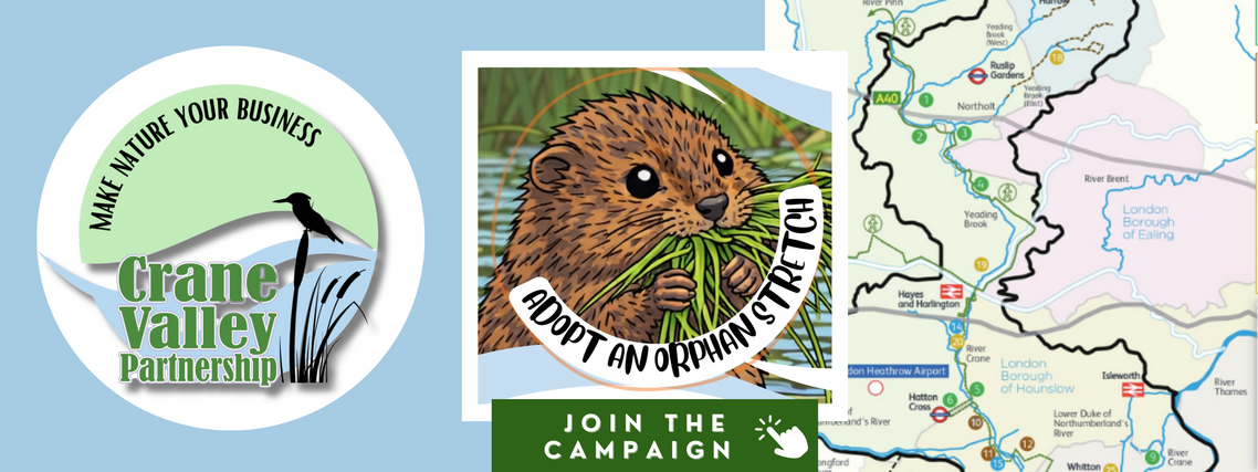 Website banner CVP 4 Biz